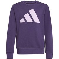 ADIDAS Kinder Sweatshirt Essentials Kids, Größe 128 in Lila