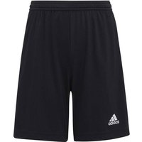 ADIDAS Kinder Teamhose Entrada 22, Größe 116 in Schwarz