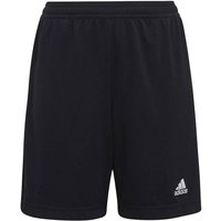 ADIDAS Kinder Teamhose Entrada 22 Training, Größe 140 in Schwarz