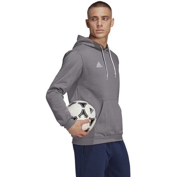 adidas Performance Kapuzensweatshirt Entrada 22