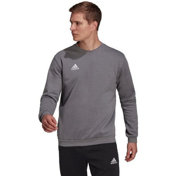 adidas Performance Sweatshirt Entrada 22
