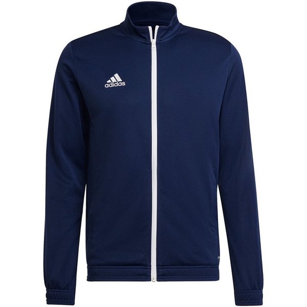 team navy blue 2 (Herren)