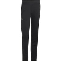 ADIDAS Terrex Xperior Cross Country-Ski Softshell Pants, Größe M in Schwarz