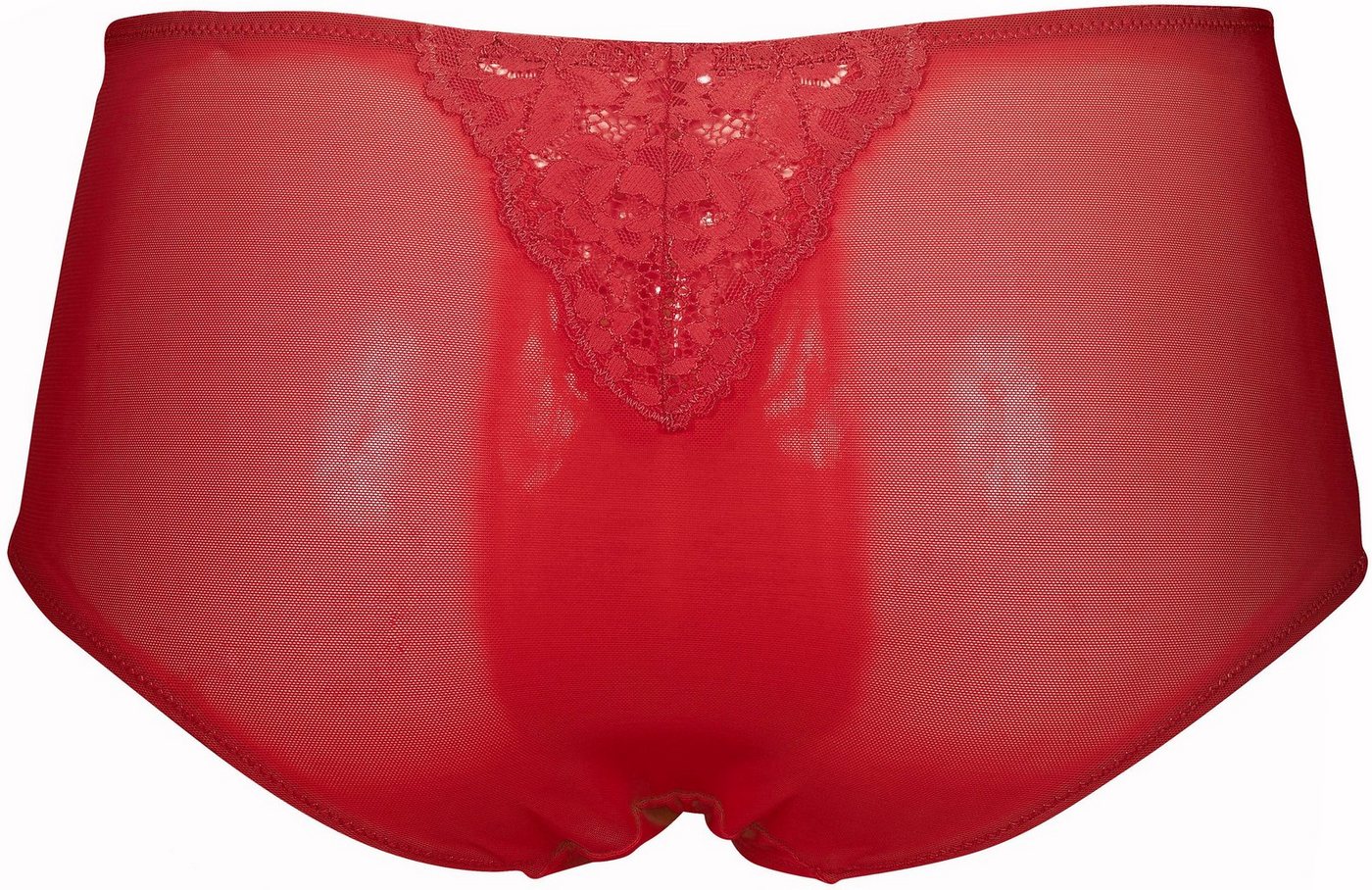 After Eden D-cup & up Panty BO Mit Spitze, leicht durchsichtig, feminin, bequem, weich, elastisch – Bild 4 von 5