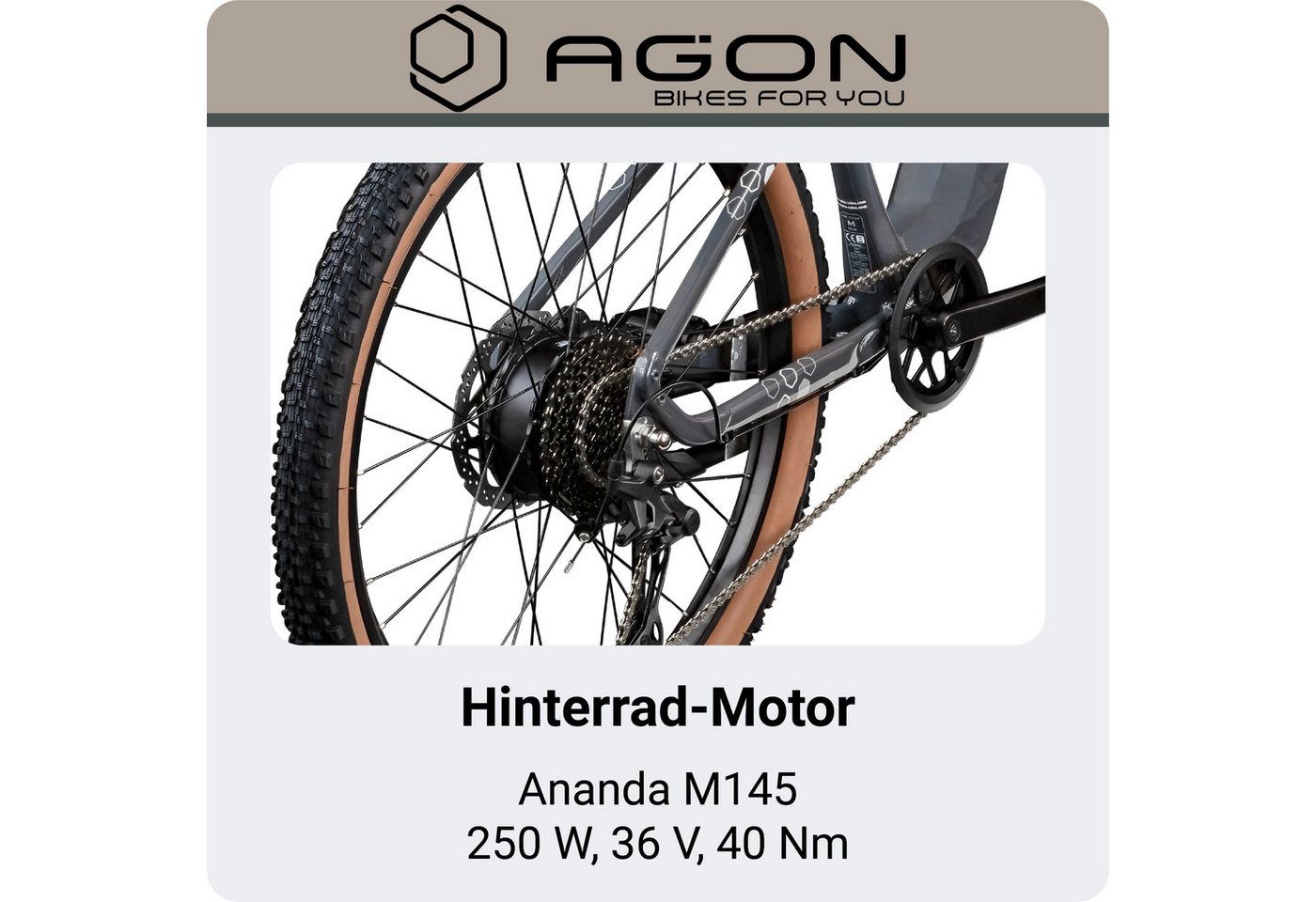 AGON E-Bike Mountainbike Alpha, 10 Gang Shimano Deore SGS T6000 Schaltwerk, Kettenschaltung, Heckmotor, 540 Wh, Pedelec, Elektrofahrrad für Damen u. Herren, MTB – Bild 5 von 5