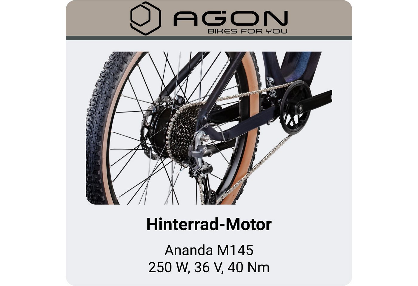 AGON E-Bike Mountainbike Alpha, 10 Gang Shimano Deore SGS T6000 Schaltwerk, Kettenschaltung, Heckmotor, 540 Wh, Pedelec, Elektrofahrrad für Damen u. Herren, MTB – Bild 5 von 5