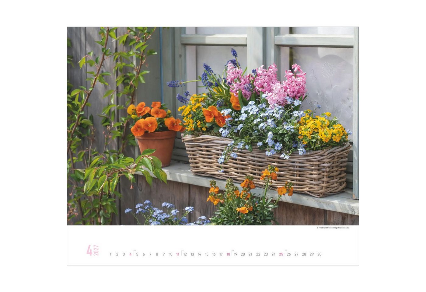 Alpha Edition Wandkalender Gartenparadiese 2027 – Bild 5 von 5