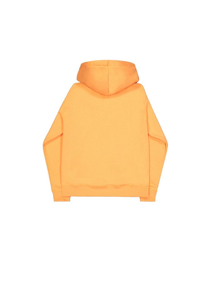 Alpha Industries Hoodie Basic BL Hoodie – Bild 5 von 5