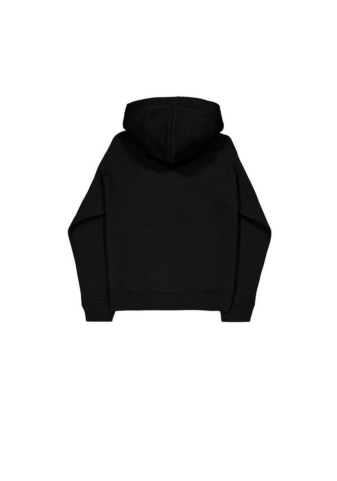 Alpha Industries Hoodie Basic Hoodie BL TPU – Bild 2 von 5