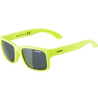 ALPINA Brille MITZO, Größe ONE SIZE in Grau