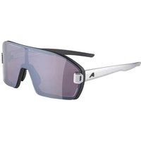 black aluminium/quattroflex black