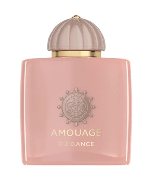 Amouage Odyssey Guidance Eau de Parfum · 100 ml