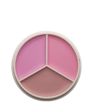 ANASTASIA Beverly Hills Magic Touch Blush Trio Rouge · 9 g