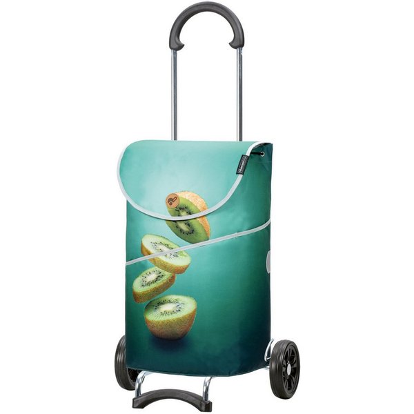 Andersen Einkaufstrolley Scala Shopper MIX A05, belastbar bis 40kg, wasserabweisend