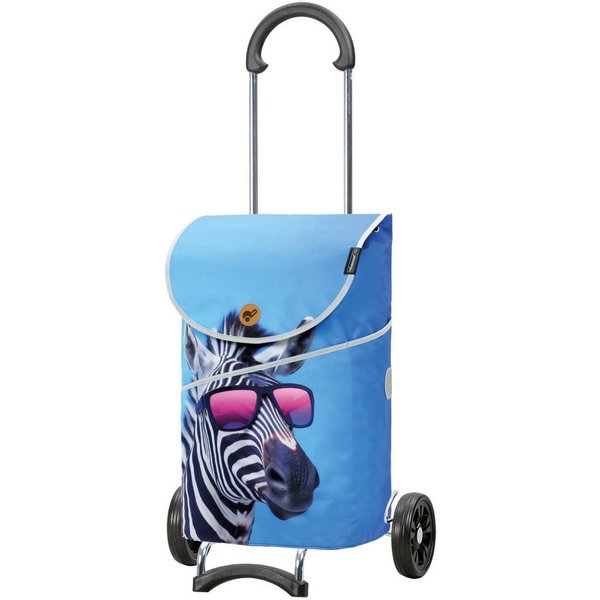 Andersen Einkaufstrolley Scala Shopper MIX A48, belastbar bis 40kg, wasserabweisend