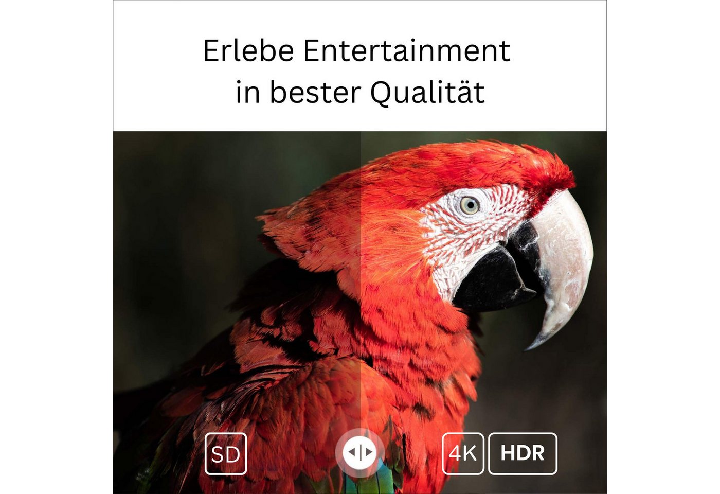 Android Streaming-Box GD2 4K Heimkino Mediaplayer (Google TV, LAN, USB), Smartes Upgrade mit Dolby Atmos, AV1 & Chromecast – Bild 4 von 5