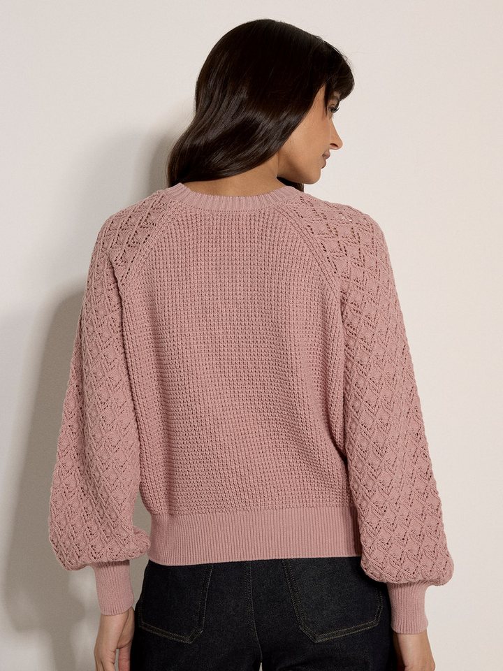 Apricot Rundhalspullover Kurzer Pullover aus Pointelle-Waffelstrick in unifarben – Bild 4 von 5