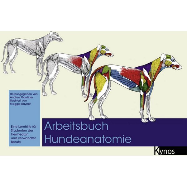 Arbeitsbuch Hundeanatomie / Maggie Raynor