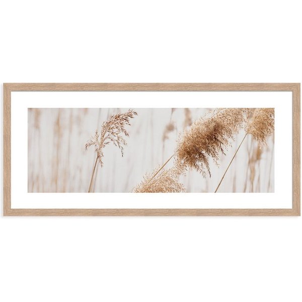 artissimo Bild mit Rahmen Gerahmtes Poster 70x30 cm / Wandbild modern / Wanddeko lang schmal, Natur und Gräser: Pampasgras in Beige Weiß