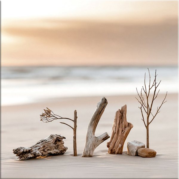 artissimo Glasbild Bild aus Glas 50x50 cm / Wandbild Quadratisch / Wanddeko modern, Strand und Meer: Treibholz am Strand in beige-weiß
