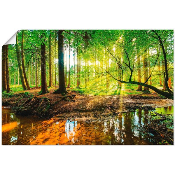 Artland Wandbild Wald mit Bach, Wald (1 St), als Alubild, Leinwandbild, Poster in verschied. Größen