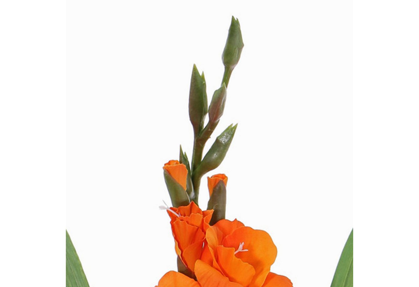 Kunstblume Kunst Gladiole ELEA, orange, 85cm, Ø3-10cm Gladiole, artplants, Höhe 80.0 cm – Bild 3 von 5