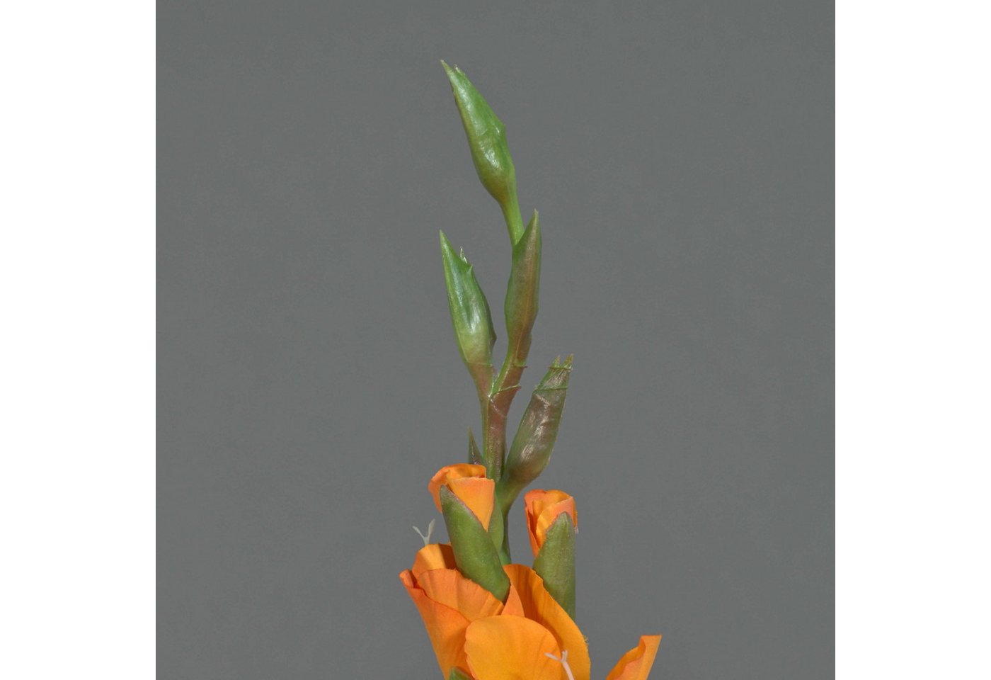 Kunstblume Kunst Gladiole ELEA, orange, 85cm, Ø3-10cm Gladiole, artplants, Höhe 80.0 cm – Bild 4 von 5