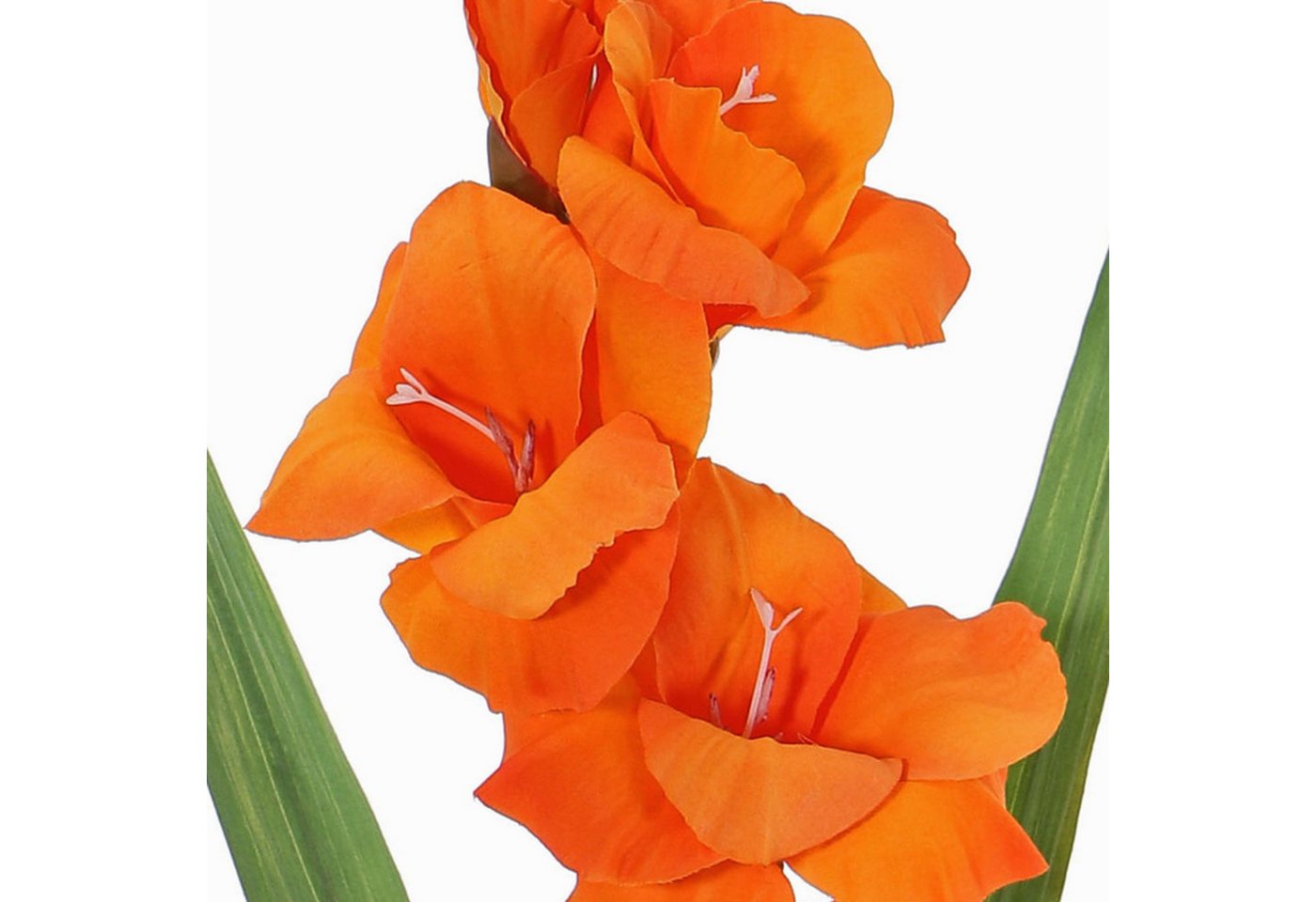 Kunstblume Kunst Gladiole ELEA, orange, 85cm, Ø3-10cm Gladiole, artplants, Höhe 80.0 cm – Bild 5 von 5