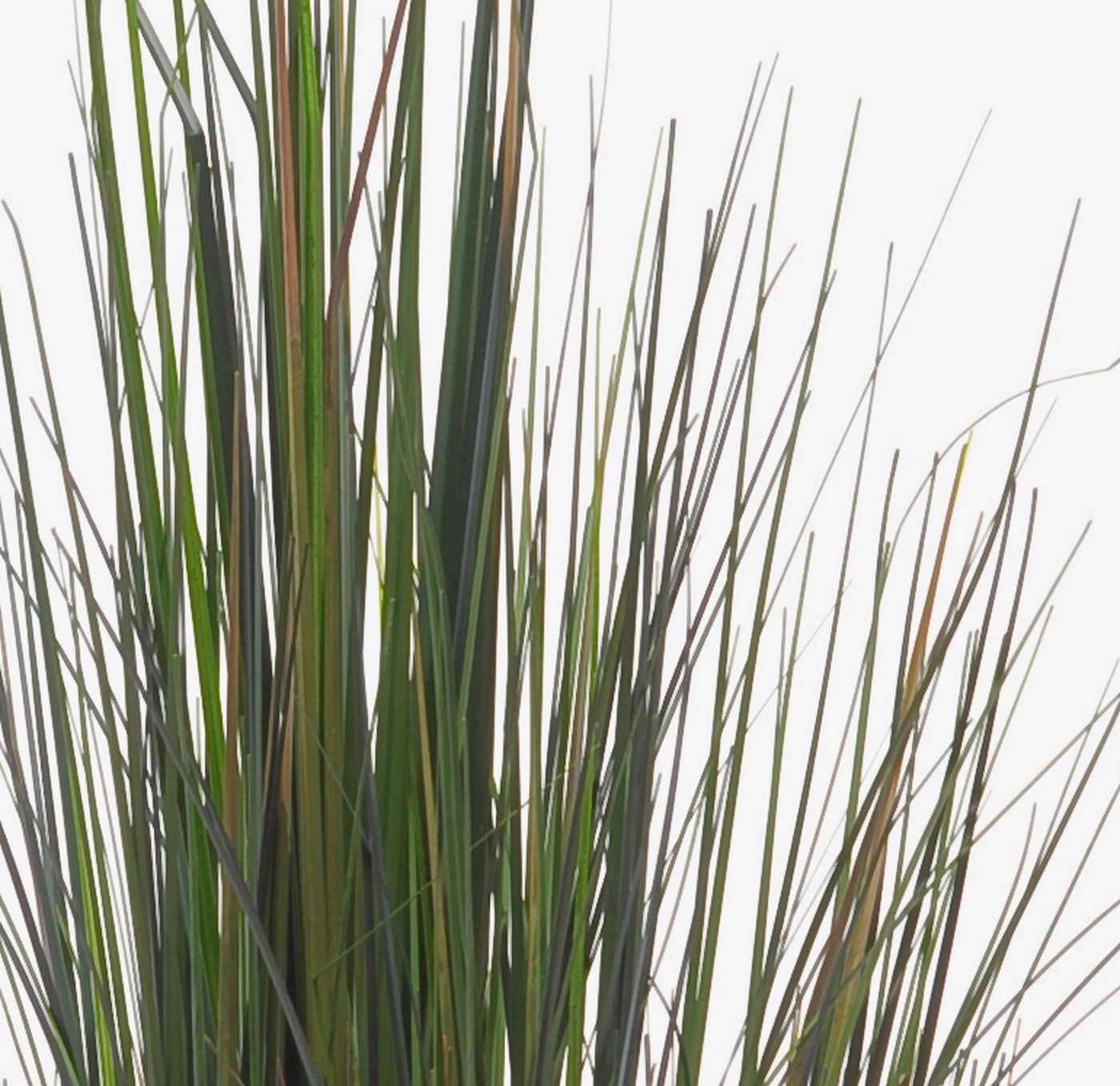 Kunstgras Deko Schilfgras, grün, 90cm - Künstliches Gras Schilf, artplants, Höhe 90.0 cm – Bild 2 von 4