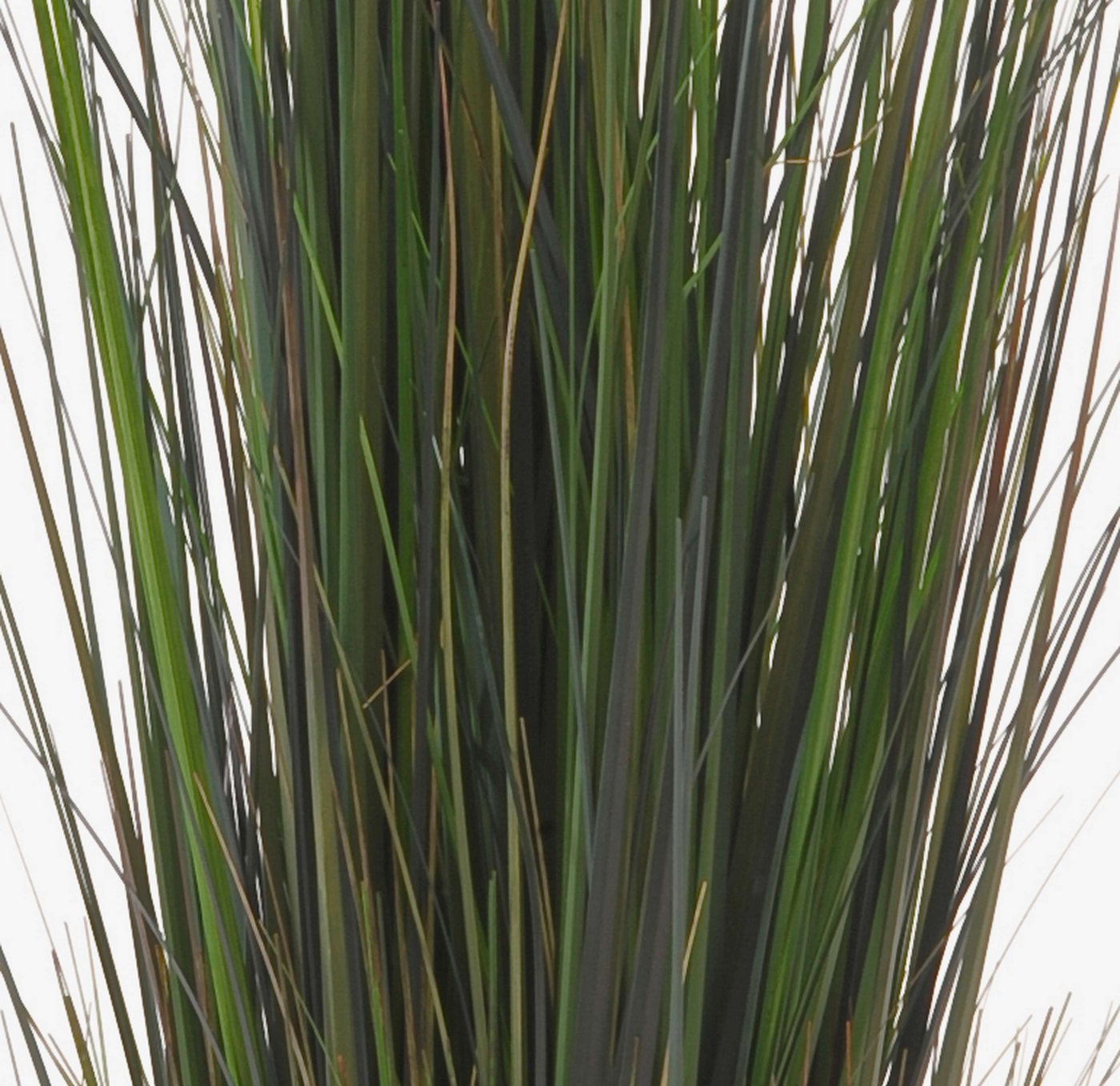 Kunstgras Deko Schilfgras, grün, 90cm - Künstliches Gras Schilf, artplants, Höhe 90.0 cm – Bild 3 von 4