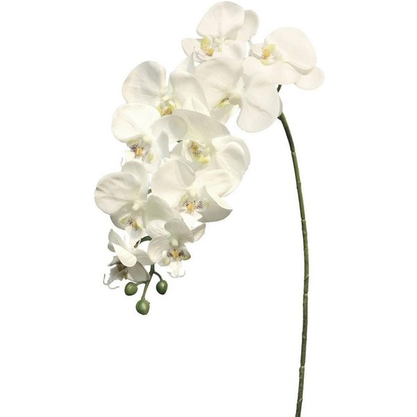 Kunstorchidee Dekozweig Phalaenopsis Orchidee JUANRU, weiß, 100 cm Orchidee (Orchidee phalaenopsis), artplants, Höhe 100.0 cm