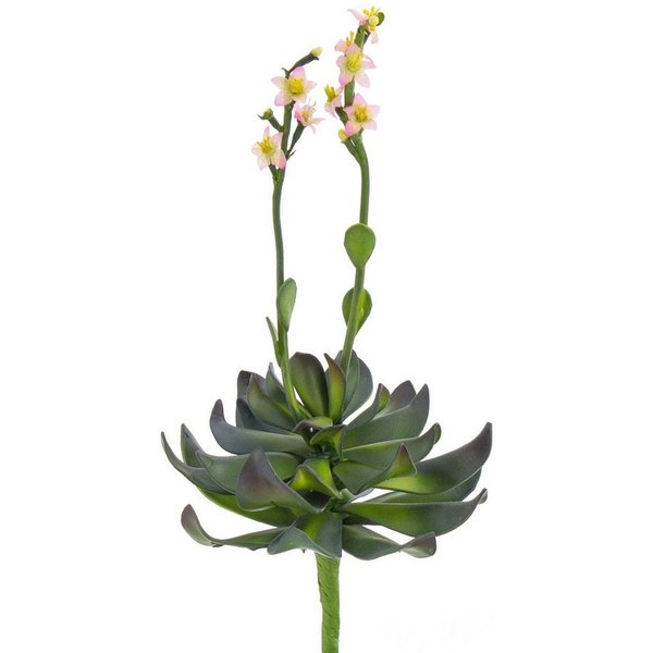 Kunstpflanze Aeonium auf Steckstab, rosa Blüten, 30cm - Künstliche Sukkulente Aeonium, artplants, Höhe 30.0 cm