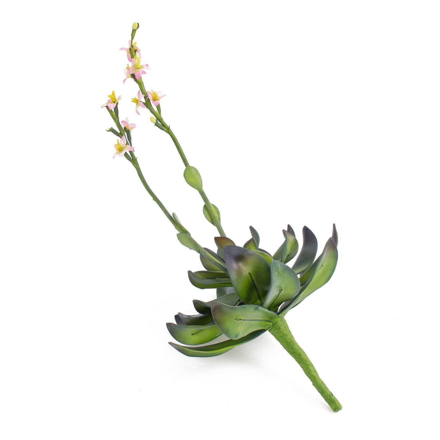 Kunstpflanze Aeonium auf Steckstab, rosa Blüten, 30cm - Künstliche Sukkulente Aeonium, artplants, Höhe 30.0 cm – Bild 2 von 4