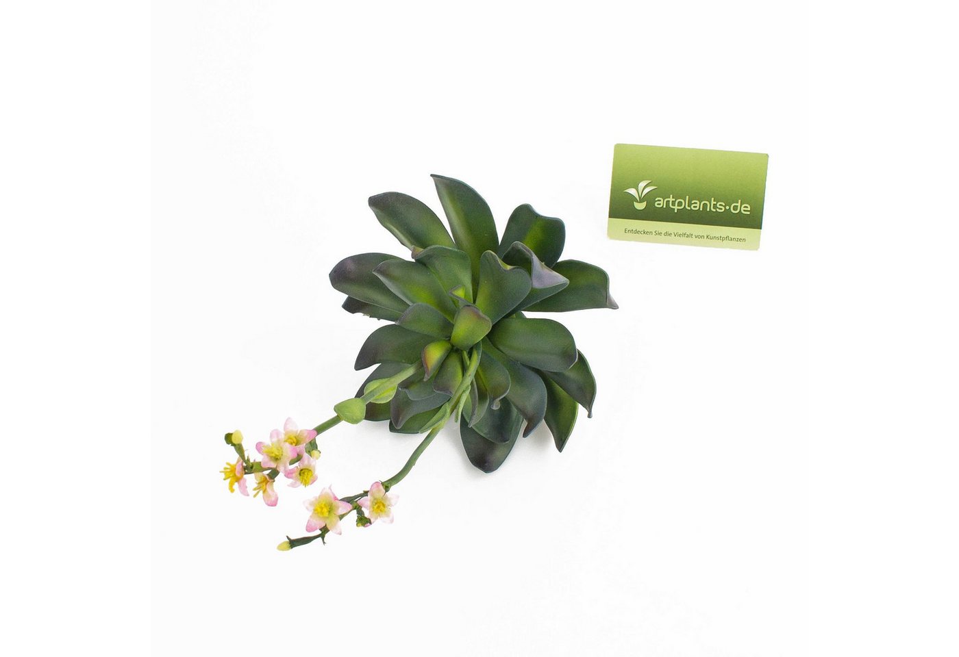 Kunstpflanze Aeonium auf Steckstab, rosa Blüten, 30cm - Künstliche Sukkulente Aeonium, artplants, Höhe 30.0 cm – Bild 3 von 4