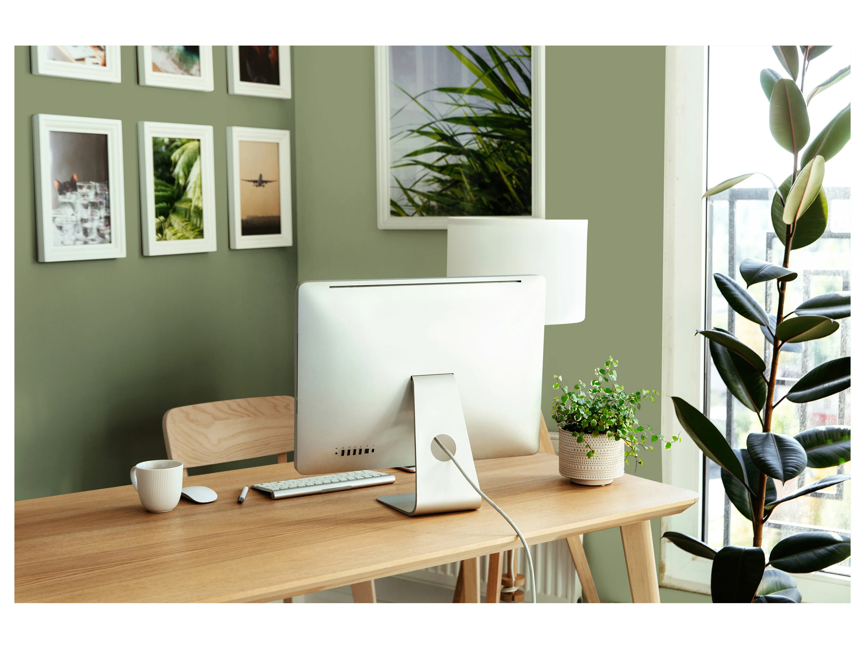 AS CRÉATION Wandfarbe (Balmy Basil Grün) – Bild 2 von 4