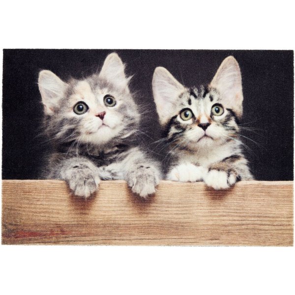 ASTRA Fußmatte Deco Print 108, rechteckig, Höhe: 5 mm, Sauberlaufmatte, Türmatte, waschbar, Eingangsbereich, rutschfest