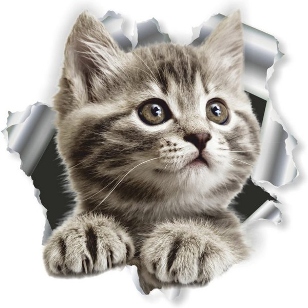 Hermann Schütz Aufkleber Hermann Schütz Aufkleber Einschussloch Katze