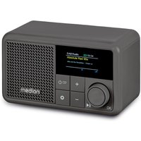 MEDION LIFE S66822 Tragbares DAB+ Radio grau, Farb-TFT Display 3,73 cm (1,47''), DAB+/UKW-Radio (je 40 Senderspeicher), Bluetooth® 5.3, integrierter Akku, extra