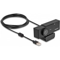 DeLOCK 96400 webcam