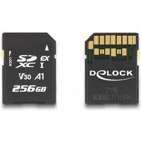 DeLOCK 54091 memory card