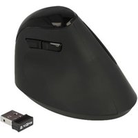 DELOCK Ergonomische USB Maus vertikal – Ansicht 1