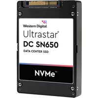 Western Digital Ultrastar WUS5EA176ESP5E3