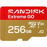 SanDisk Extreme GO