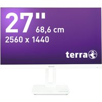 TERRA 3030222 computer monitor