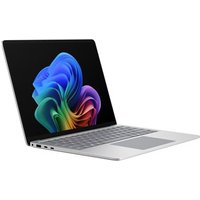 Microsoft Surface Laptop8 13,8" CU5/32GB/256GB DE Platin W11P