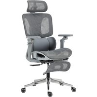 HOMCOM Ergonomischer Bürostuhl mit 6D-Armlehnen, Kopfstütze und verstellbarer Sitztiefe - Mesh, neigbar, höhenverstellbar, Lendenstütze, Fußstütze, Grau Aosom – Ansicht 1