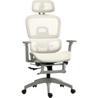 HOMCOM Ergonomischer Mesh-Bürostuhl, 3D-Armlehnen, bis 135° verstellbar, verstellbare Kopfstütze, hohe Rückenlehne, Lendenstütze, Fußstütze, höhenverstellbar, B – Ansicht 1
