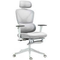 HOMCOM Bürostuhl - Höhenverstellbarer Bürostuhl, neigbare Rückenlehne, 3D-Armlehnen, drehbares Kopfstütze, verstellbare Lendenwirbelstütze, Netz-Bürositz, 71x70 – Ansicht 1
