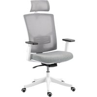 HOMCOM Ergonomischer Bürostuhl mit dynamischer 4D-Lendenstütze, 3D-Armlehnen, Kopfstütze und höhenverstellbar, atmungsaktiver Netz-Drehstuhl mit Wippfunktion, f – Ansicht 1