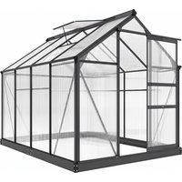 Outsunny Gewächshaus Aluminium 4,79m² 190x252x201cm mit Fundament Dachfenster Schiebetür 4 mm Platten, UV-beständig Treibhaus Aufzucht Tomatenhaus Pflanzenhaus 
